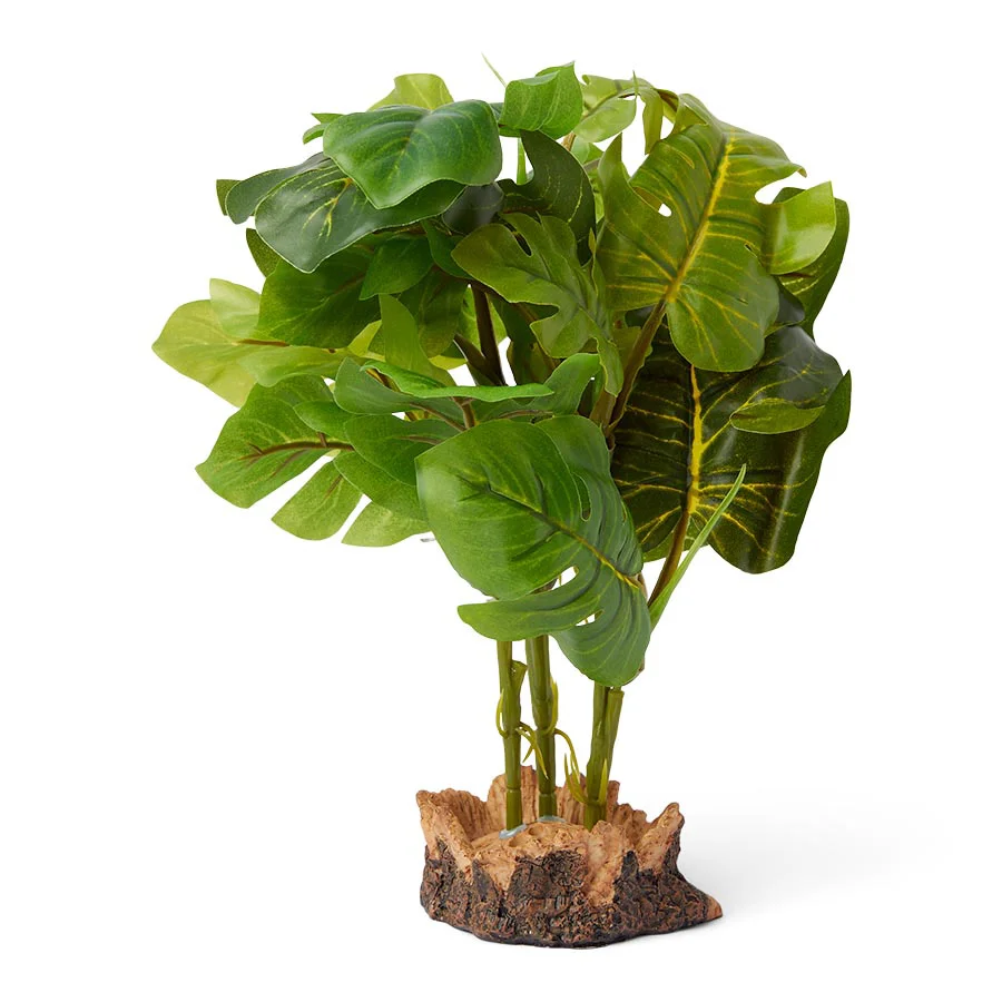 Consistent Pets at Home Cheese Plant Vivarium Decoration Luxury