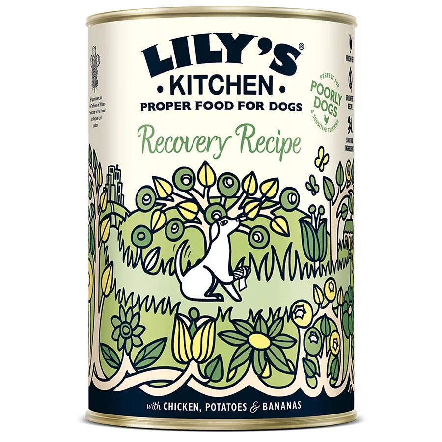 Pure Lily x27 s Kitchen Recovery Recipe Wet Adult Dog Food 400g Official