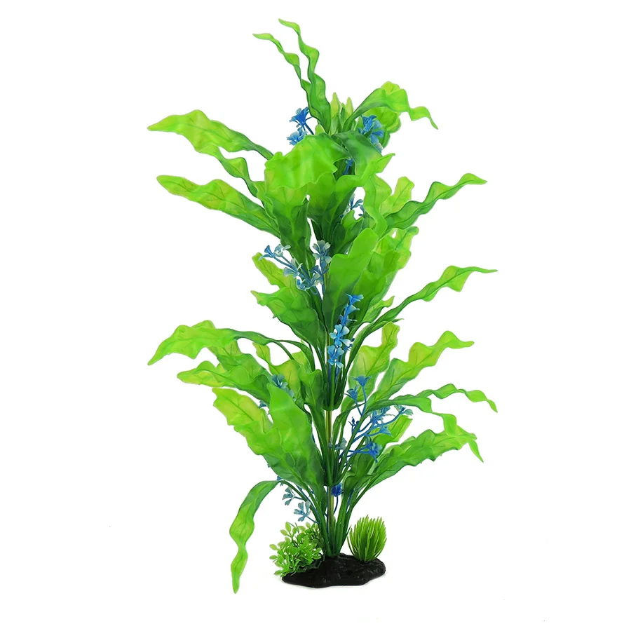 Long-Lasting Classic Aquatics Green Oxalis Plant Large