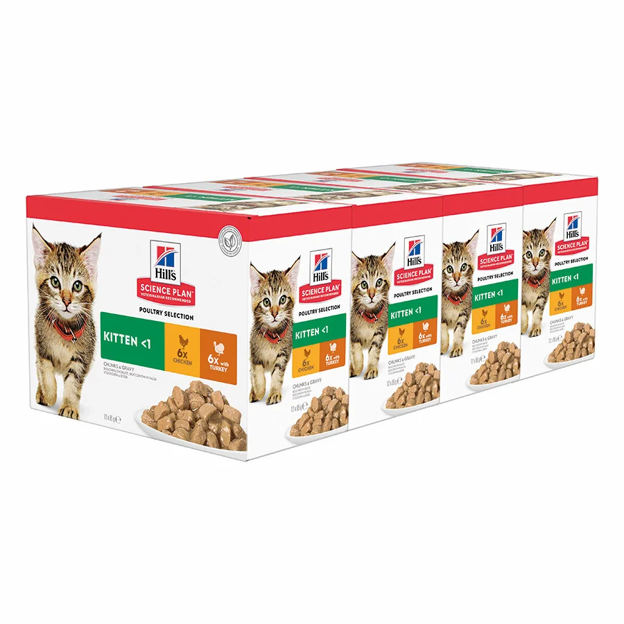 Premium Material Hill x27 s Science Plan Kitten Wet Cat Food Chicken Turkey 48x85g Original