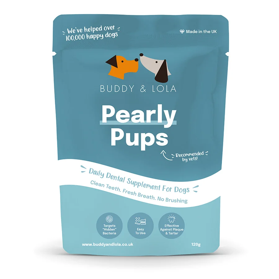 High-Quality Buddy Lola Pearly Pups Daily Dental Supplement for Dogs 120g Prestigious