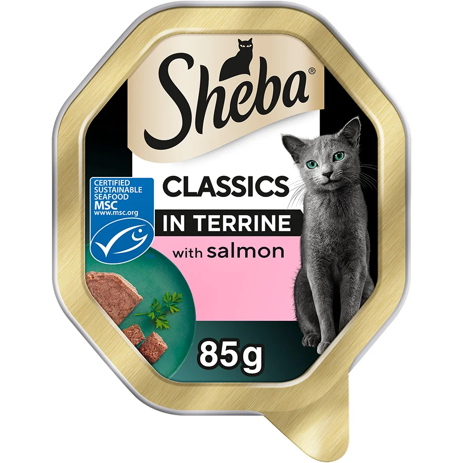 Innovative Sheba Classics Wet Adult Cat Food Salmon in Terrine 85g Tray Long-Lasting
