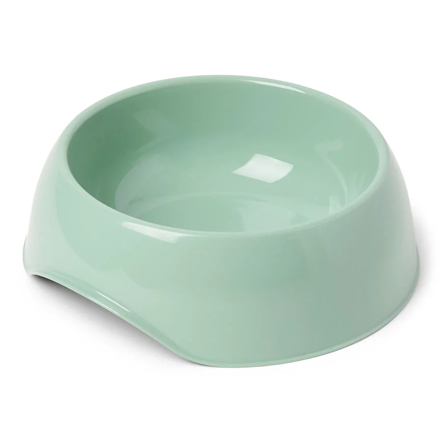 Environmentally Friendly Pets at Home Gusto Pet Bowl Trendy